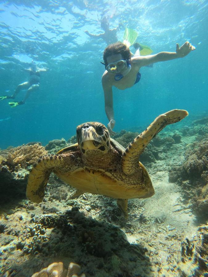 Gili Meno Mojo Beach Resort Екстер'єр фото