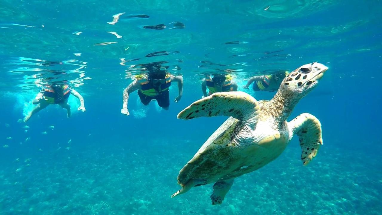 Gili Meno Mojo Beach Resort Екстер'єр фото